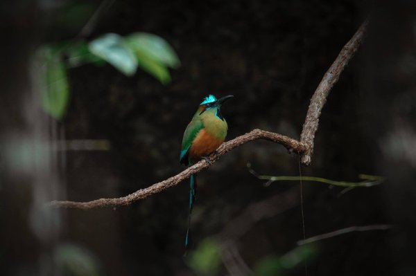 Comment les start-ups en robotique peuvent-elles s'adapter aux évolutions réglementaires internationales